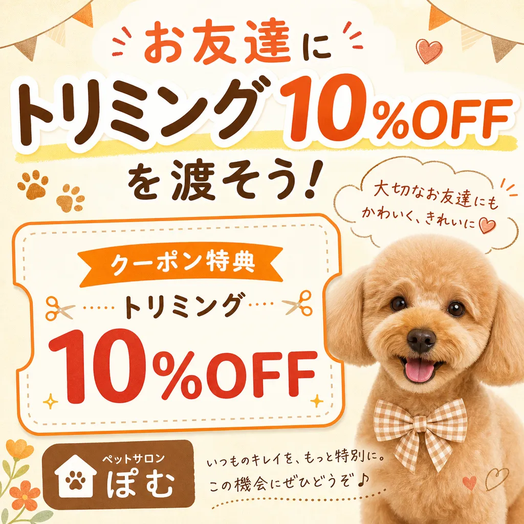 ペットサロンの宣伝画像作例（あたたかみ）